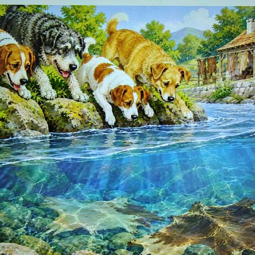 The Dogs and the River